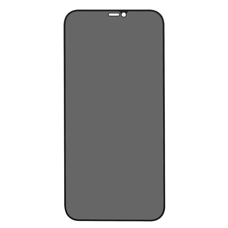 Para iPhone 12/12 Pro 6,1 polegadas Silk Printing Anti-spy Full Coverage Anti-fingerprint Matte Full Glue Tempered Glass Screen Protector Film