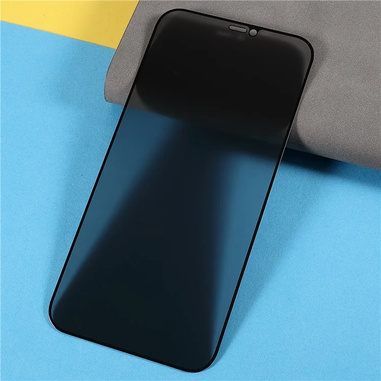 Para iPhone 12/12 Pro 6,1 polegadas Silk Printing Anti-spy Full Coverage Anti-fingerprint Matte Full Glue Tempered Glass Screen Protector Film