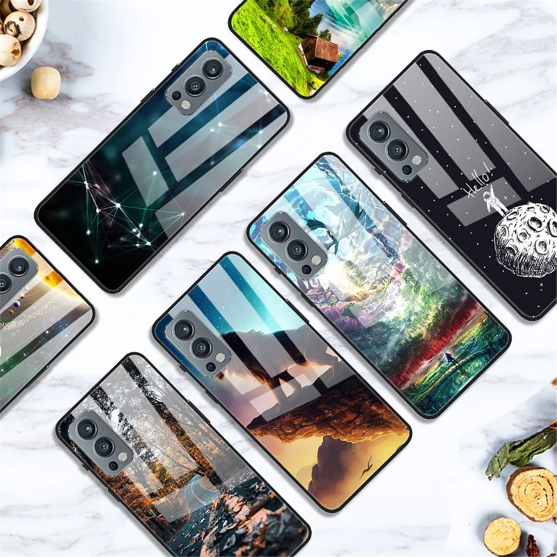 Pattern Printing Design Soft TPU Bumper + PC Rugged Shockproof Tempered Glass Back Cover for OnePlus Nord 2 5G - Lunar Landing