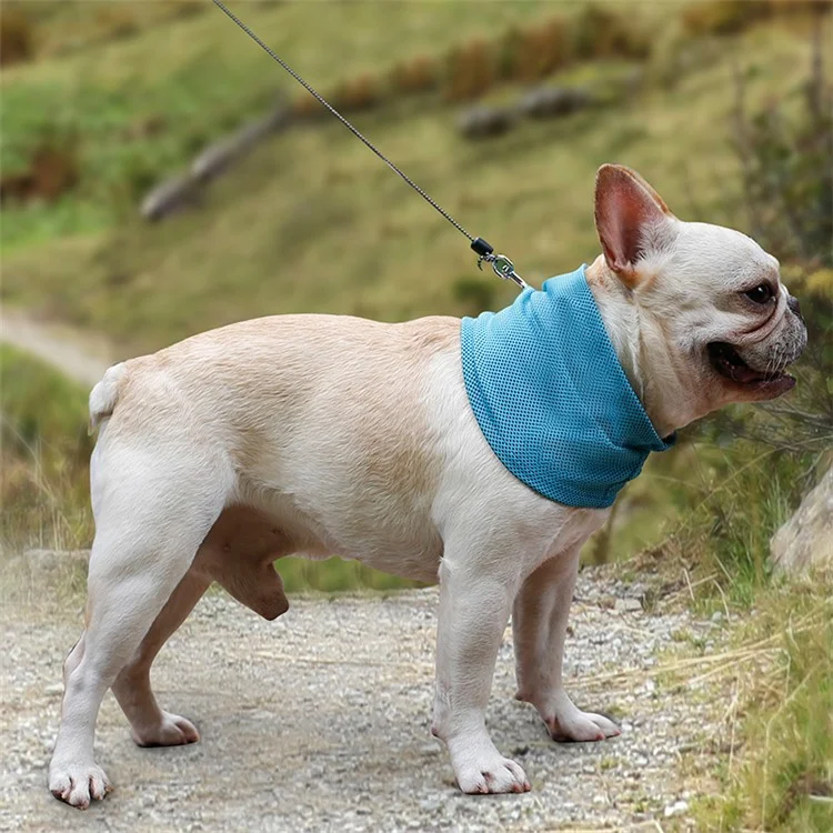 Dog Cooling Collar Dog Bandana Scarf for Summer, Size: M