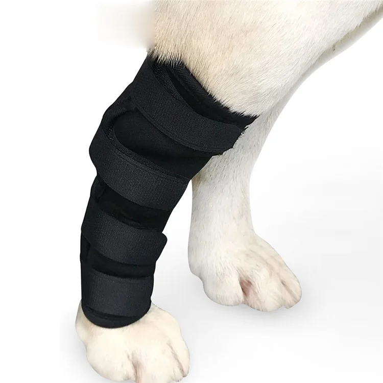 Dog Leg Braces Canine Wrist Sleeves with Safety Reflective Straps for Hock Joint - Size: S