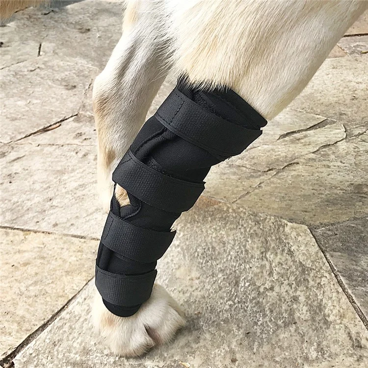 Dog Leg Braces Canine Wrist Sleeves with Safety Reflective Straps for Hock Joint - Size: S