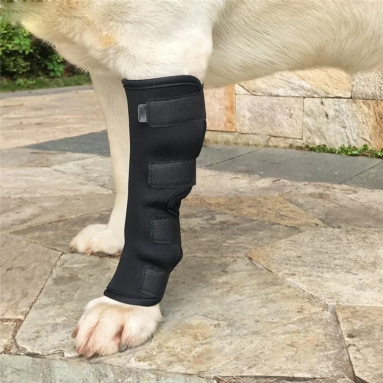 Dog Leg Braces Canine Wrist Sleeves with Safety Reflective Straps for Hock Joint - Size: S