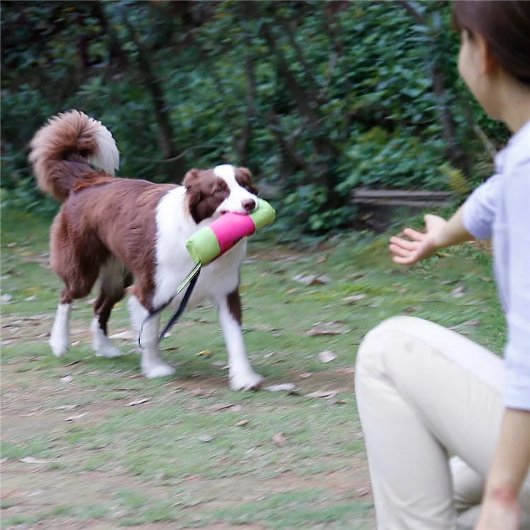 Pet Dog Training Snack Bag Outdoor Training Bag, Size: 24.5 x 7.5cm