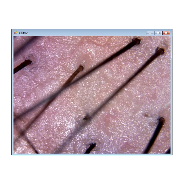 S10 50-1000X 2MP USB 8-LED Light Digital Microscope Endoscope Camera Magnifier