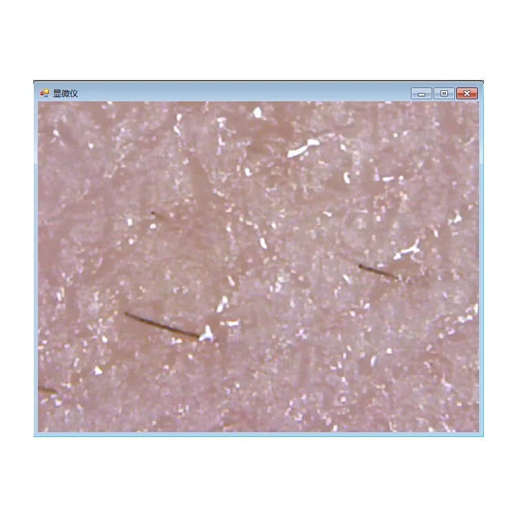 S10 50-1000X 2MP USB 8-LED Light Digital Microscope Endoscope Camera Magnifier
