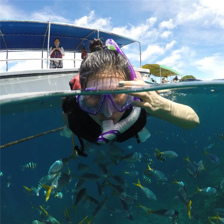 TELESIN Waterproof Housing Diving Mask Diving Dome Port for GoPro Hero 6/5