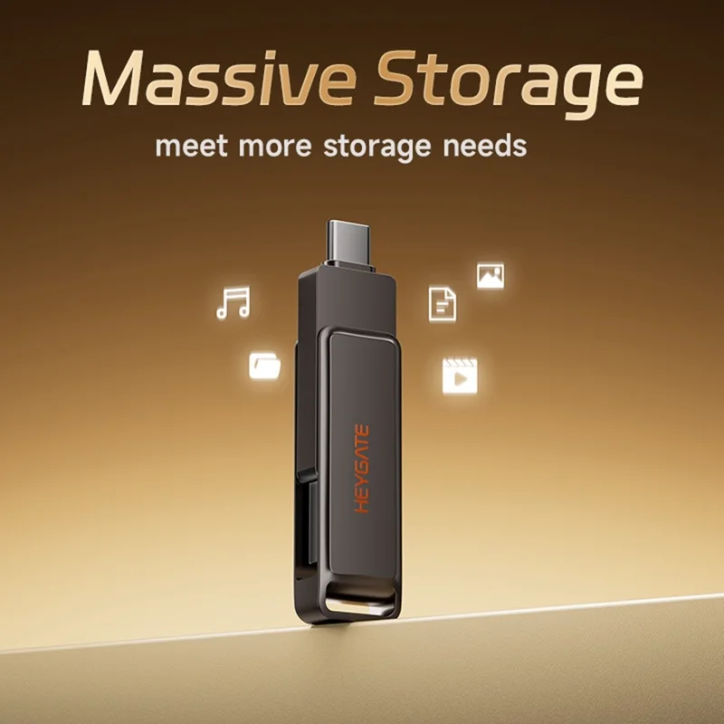HEYGATE L1 256GB USB Flash Drive Dual Interface USB 3.0 Type-C 100MB / s High Speed Memory Stick for Phone PC Laptop