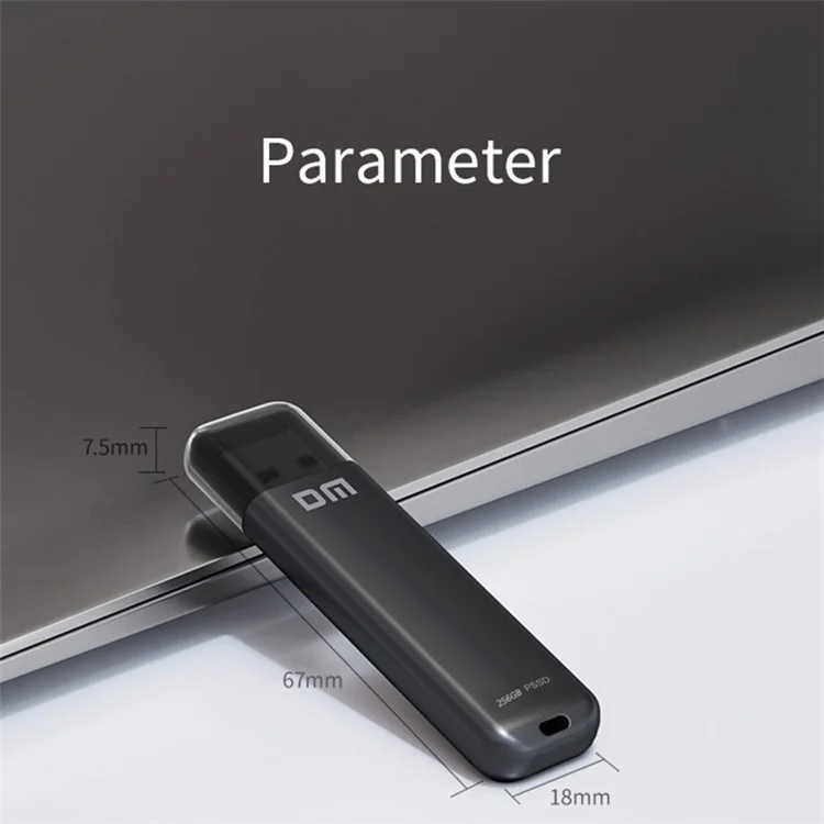 DM FS390 USB3.1 256GB Portable Solid State USB Flash Drive Zinc Alloy PC External Solid State U-disk