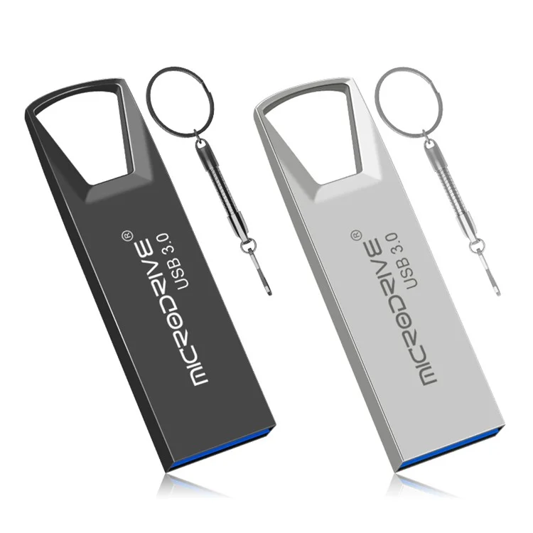 Clé USB Métal MICRODRIVE 16 Go Haute Vitesse Portable USB 3.0 avec Porte-Clé - Argent