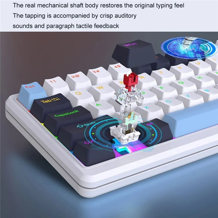 Y-FRUITFUL K78 mechanische Tastatur mit 78 Tasten, RGB-Hintergrundbeleuchtung, verkabelt für Gaming und Büro - Blau