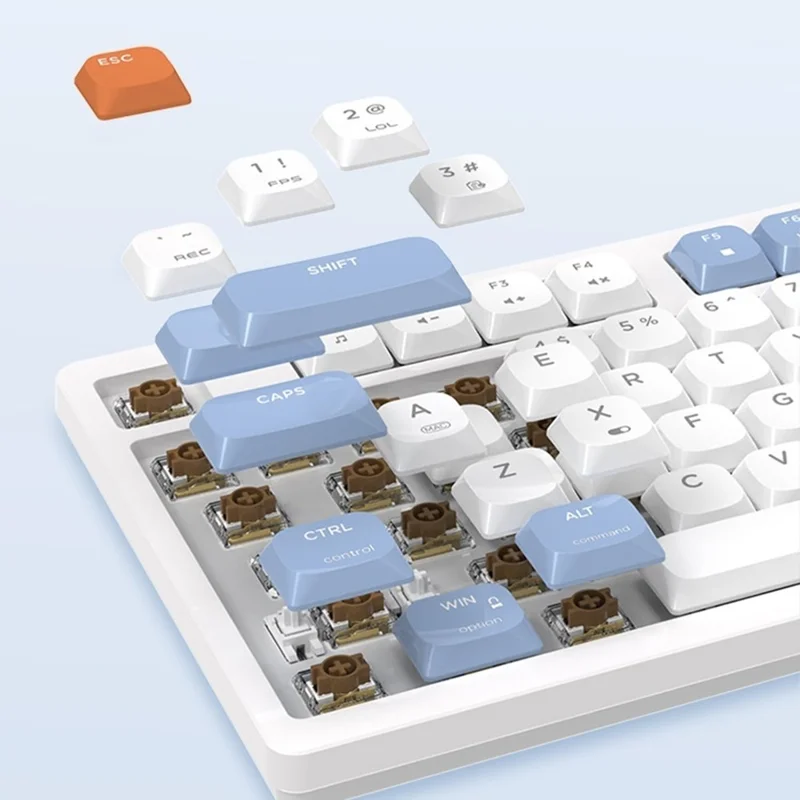 AJAZZ AKP815 81 Keys Low Profile Mechanical Keyboard with 4.95 Inch LCD Color Screen RGB Light Wired Keyboard - Red Switch / White+Blue+Orange