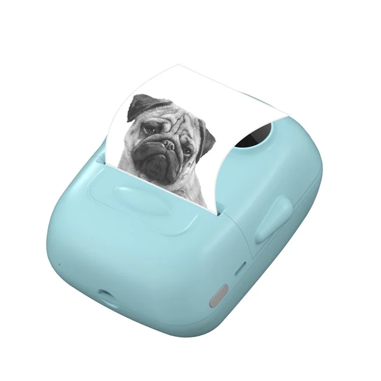MARKLIFE P50 Mini Bluetooth-compatible Thermal Label Printer with 1 Roll Print Paper - Green