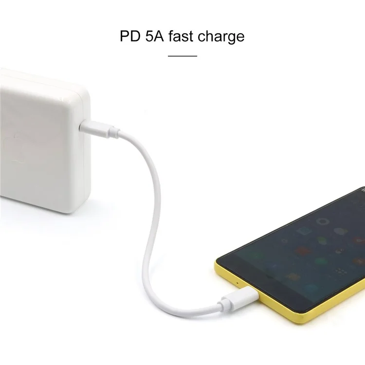 2m PD 5A Type-C à Type-C Cordon de Charge de Téléphone Mobile de Charge Rapide Type-C