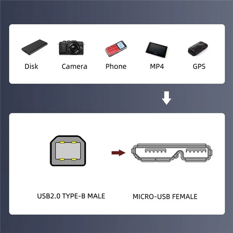 U3-012-BM 50cm Micro 3.0 Type-B Female to Type-B USB 2.0 Male Cable Screw Mount Type 480Mbps Extension Cord