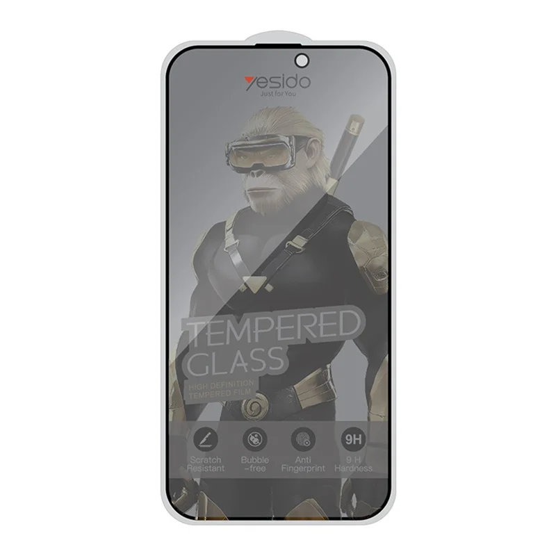 YESIDO TG31 10 Unidades/Juego para iPhone 17 Pro Max Protector de Pantalla de Privacidad 9H de Dureza Vidrio Templado Anti-huellas