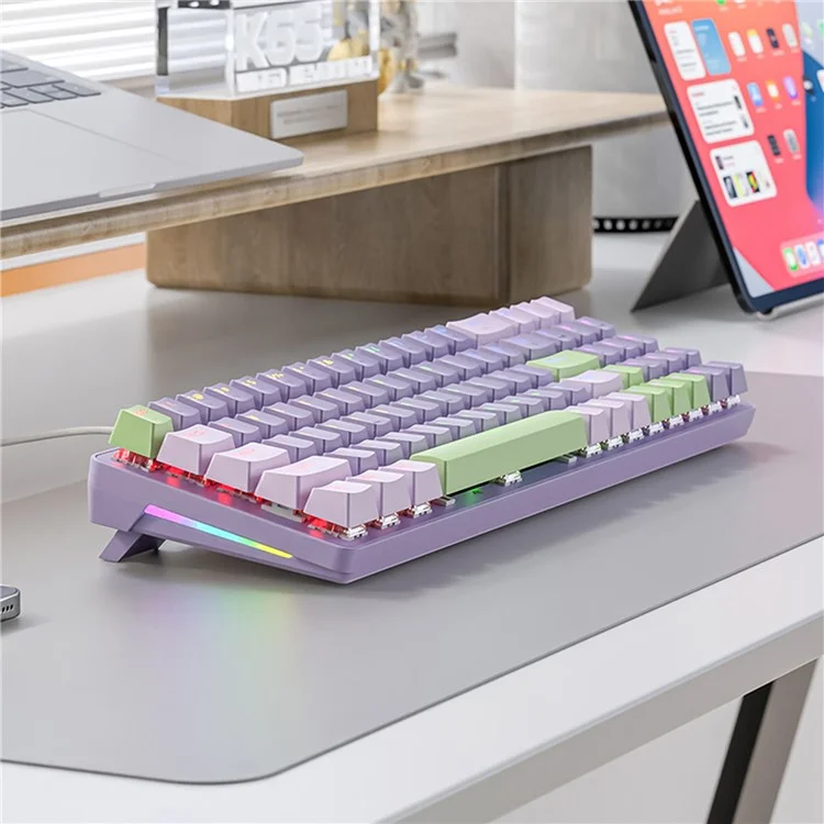 ZIYOULANG K65 78 Keys Hot Swappable Mechanical Keyboard RGB Light USB Wired Keyboard - Blue+Blue Switch