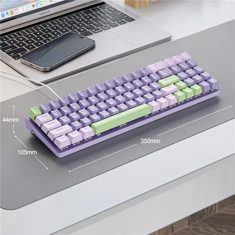 ZIYOULANG K65 78 Keys Hot Swappable Mechanical Keyboard RGB Light USB Wired Keyboard - Blue+Blue Switch