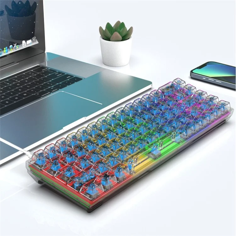 Y-FRUITFUL K60 68 Keys Type-C Wired Mechanical Keyboard RGB Light Transparent Keycaps Gaming Keyboard - Transparent White+Blue Switch