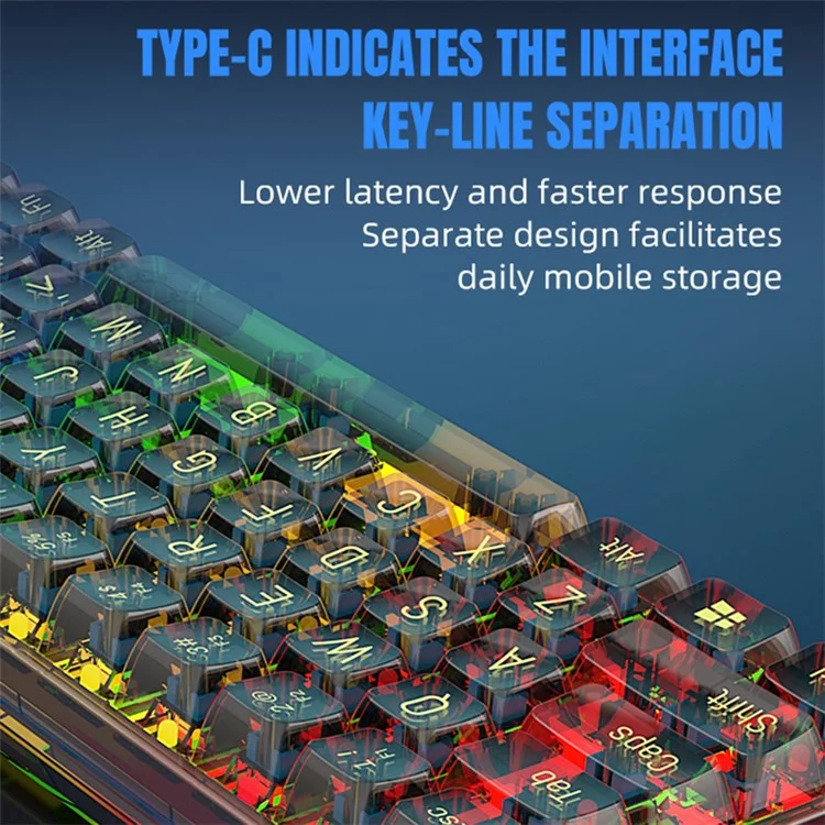 Y-FRUITFUL K60 68 Keys Type-C Wired Mechanical Keyboard RGB Light Transparent Keycaps Gaming Keyboard - Transparent White+Blue Switch