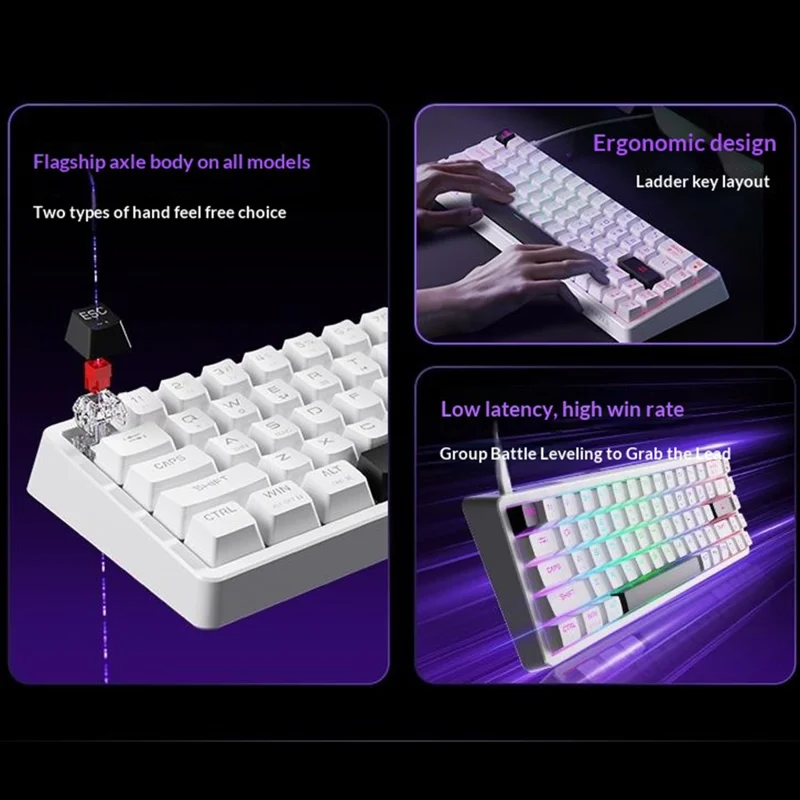 ERAZER MK68 68-Key Mechanical Keyboard Blue Red Switch RGB Backlit Type-C Wired Gaming Keyboard (Invested By Lenovo) - White