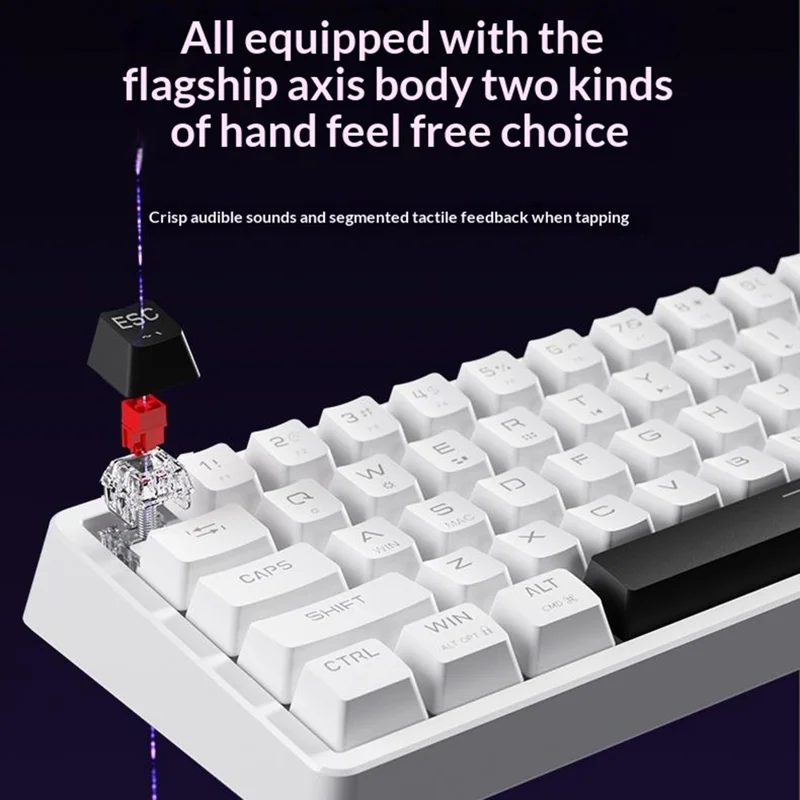 ERAZER MK68 68-Key Mechanical Keyboard Blue Red Switch RGB Backlit Type-C Wired Gaming Keyboard (Invested By Lenovo) - White