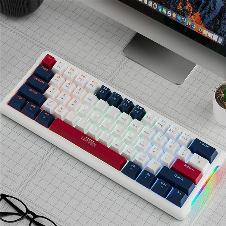 LEAVEN K610 1.6m Wired 61-key Water-cooled E-sports Gaming Mechanical Keyboard, Classic Version - Blue+White+Red / Yellow Switch