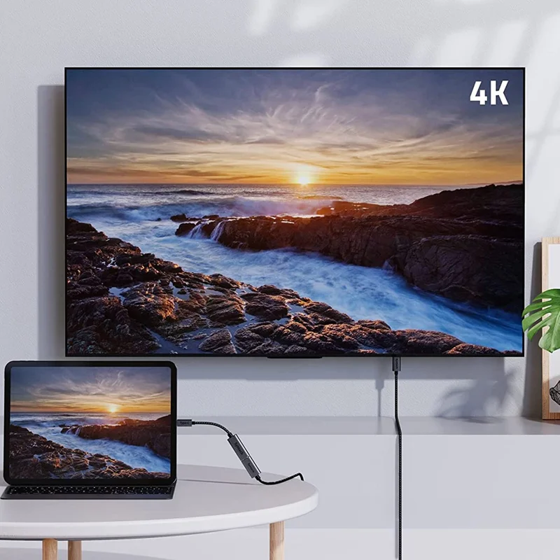 SYNTECH Mark10 USB C Male to HD Female Adapter 4K 30Hz Video Converter for MacBook / Dell / HP