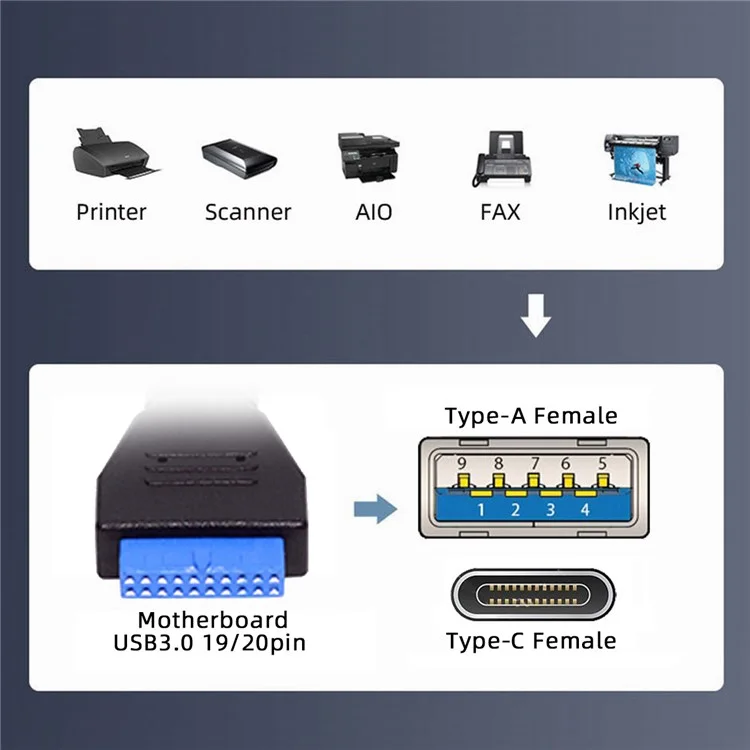 UC-020-AC USB3.0 Scheda Madre 19 / 20Pin a USB-C Type-C e USB 3.0 Doppia Porta Femmina PCI-E Back Panel Cavo 5Gbps