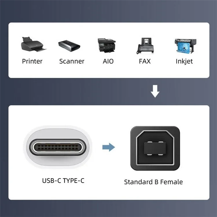 U2-010-CM 2Pcs / Set USB 2.0 B Type Female to Type-C Male Angled + Straight Extension Adapter for Printer Phone Disk
