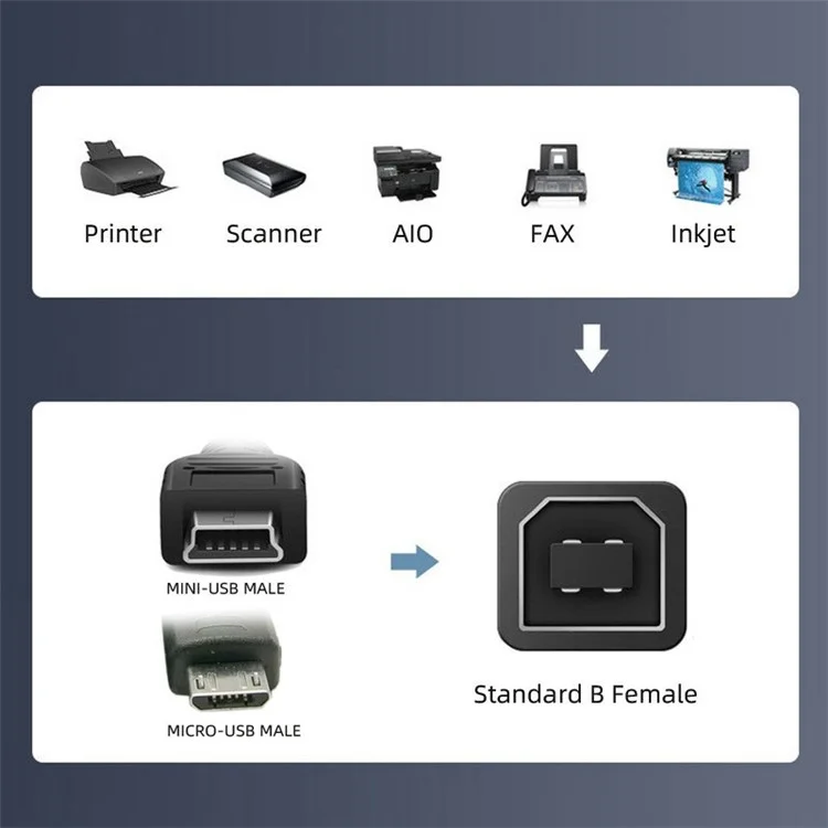U2-010-MM 2Pcs USB 2.0 B Type Female to Mini USB & Micro Male Extension Adapter per Stampante Telefono Disco