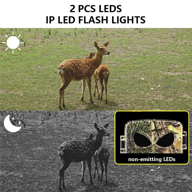 PR8000 Caméra de Chasse Extérieure 8K WiFi 60MP Ultra HD Vision Nocturne Pistage Animalier Caméra Compact de Poche