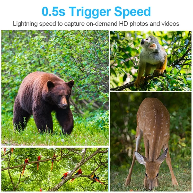 H6 PIR Motion Detection Waterproof Hunting Camera Remote Viewing Night Vision Trail Cam (European Version) - Dark Green