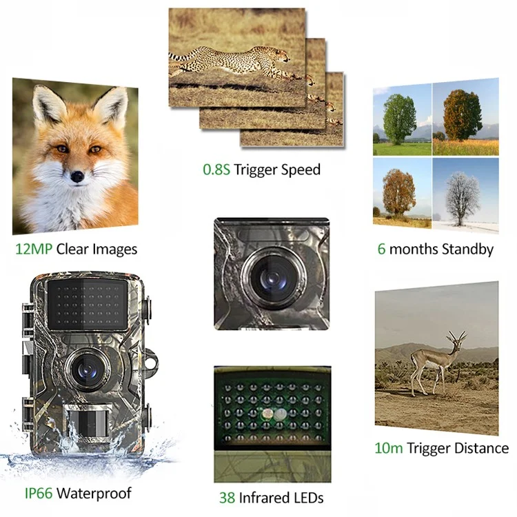 DL001 12MP 2.0-inch LCD Outdoor Hunting Trail Camera IR Night Vision Waterproof Scouting Camera