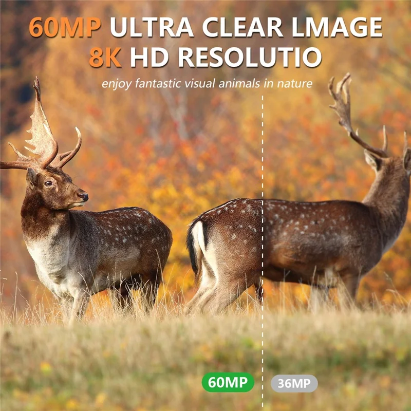 PR903W Caméra de chasse solaire extérieure 8K 60MP WiFi Vision nocturne infrarouge Caméra de sentier