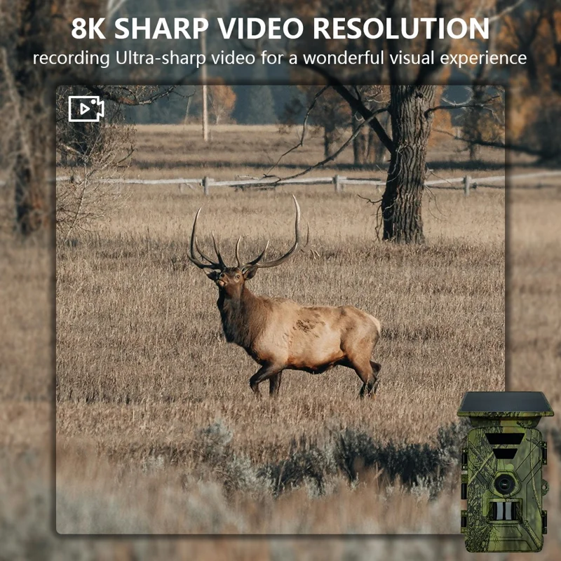 PR903W Caméra de chasse solaire extérieure 8K 60MP WiFi Vision nocturne infrarouge Caméra de sentier