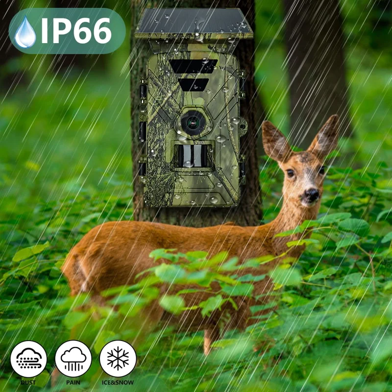PR903W Caméra de chasse solaire extérieure 8K 60MP WiFi Vision nocturne infrarouge Caméra de sentier