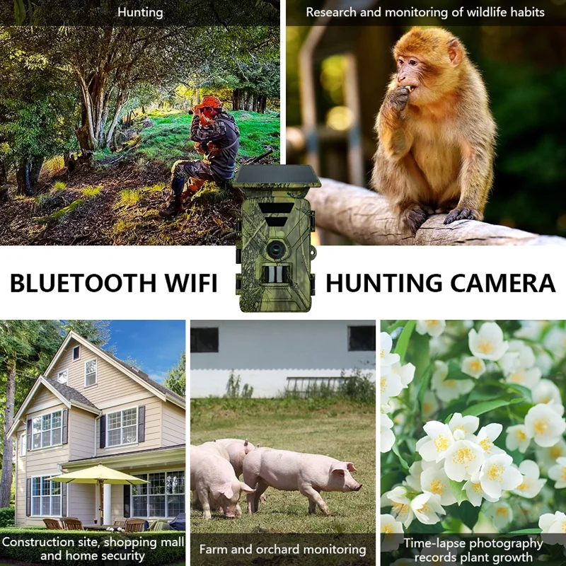 PR903W Caméra de chasse solaire extérieure 8K 60MP WiFi Vision nocturne infrarouge Caméra de sentier