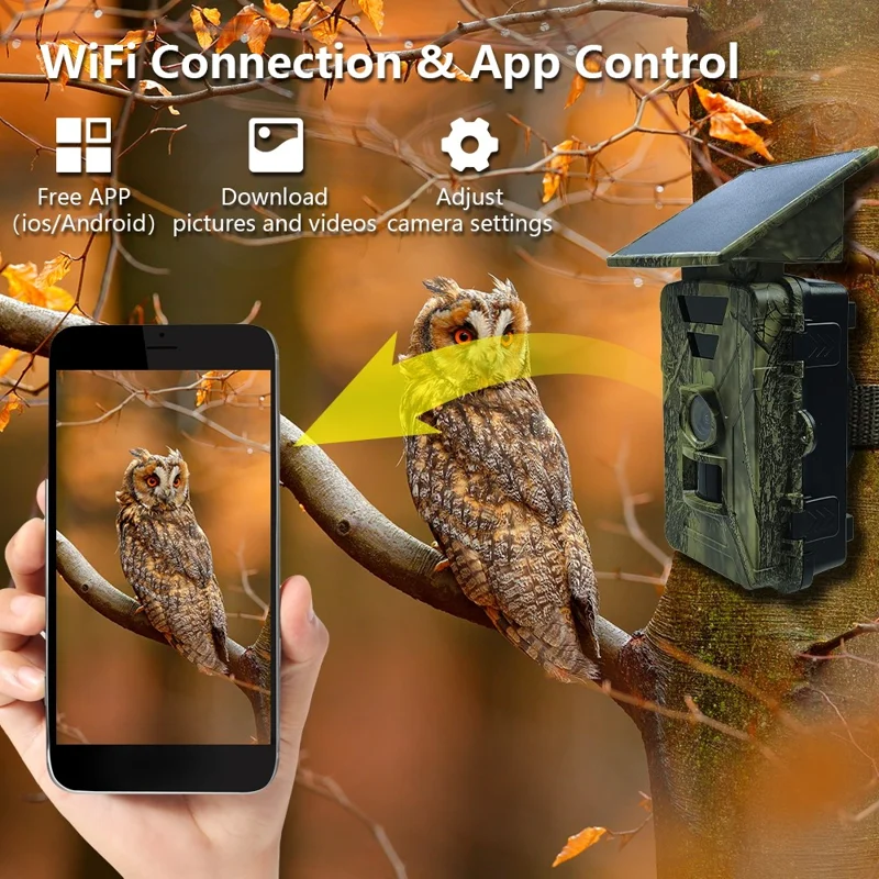 PR903W Caméra de chasse solaire extérieure 8K 60MP WiFi Vision nocturne infrarouge Caméra de sentier