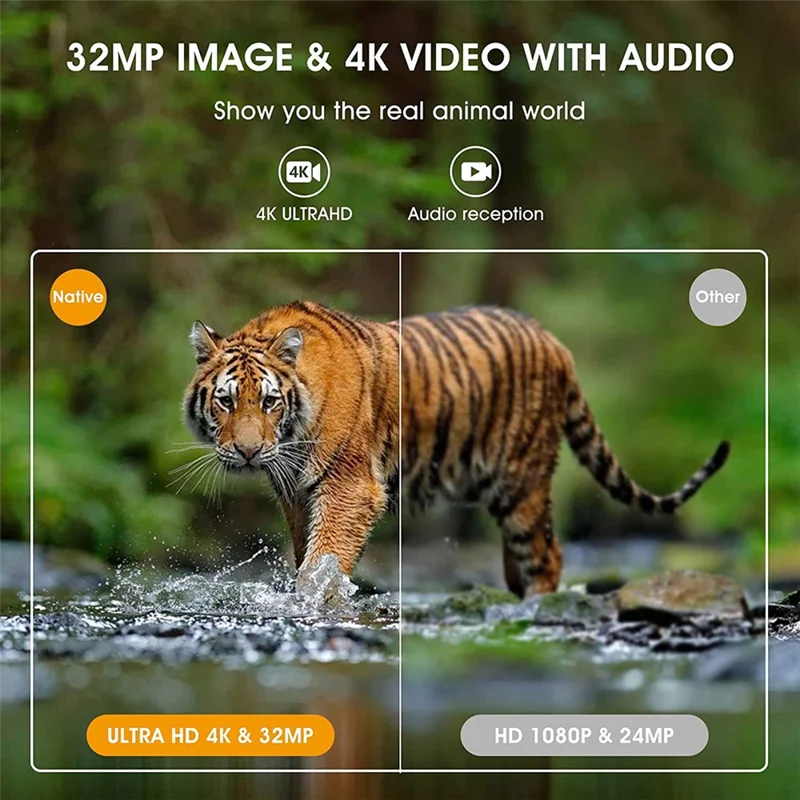 BST880 Caméra de Chasse 4K Haute Définition avec Détection de Mouvement, Vision Nocturne Infrarouge et Surveillance de la Faune (Sans Batterie)