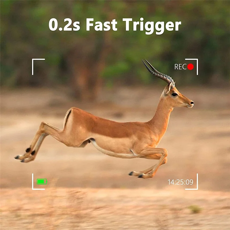 BST880 Caméra de Chasse 4K Haute Définition avec Détection de Mouvement, Vision Nocturne Infrarouge et Surveillance de la Faune (Sans Batterie)