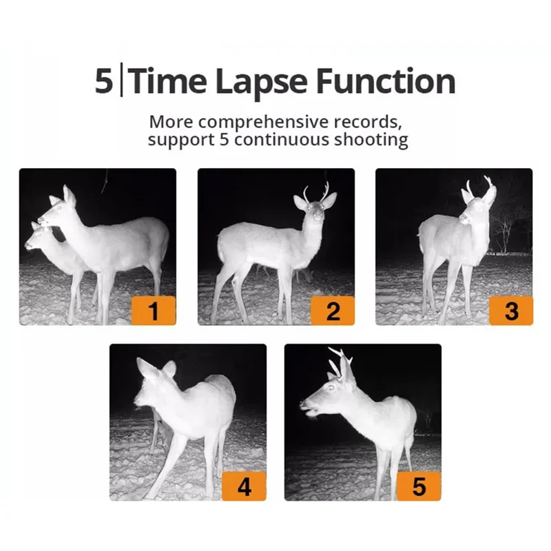 Fotocamera per tracciamento BST883C 4G con visione notturna a infrarossi per monitoraggio animali durante la caccia