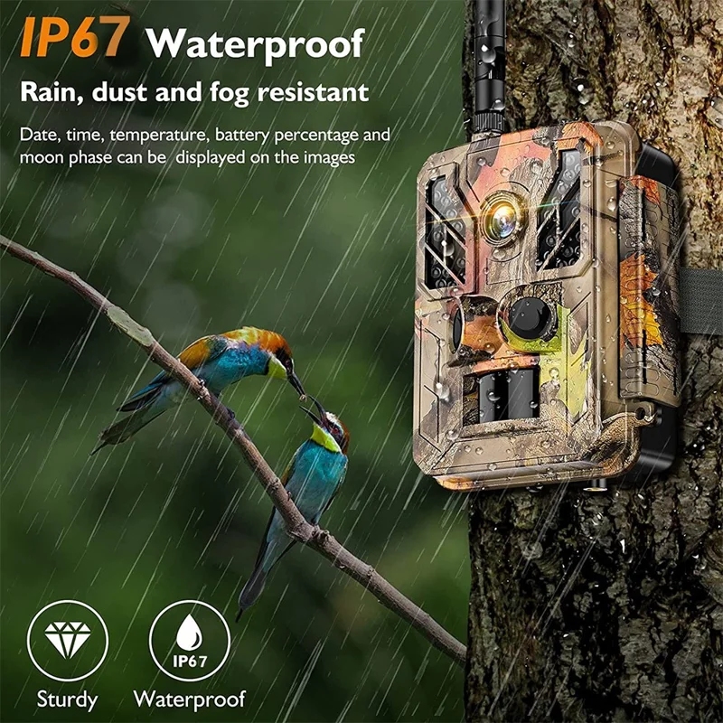 Fotocamera per tracciamento BST883C 4G con visione notturna a infrarossi per monitoraggio animali durante la caccia