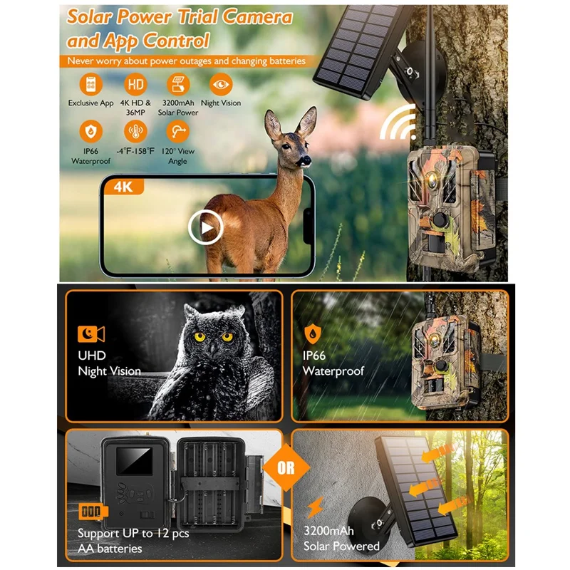 Caméra de surveillance de la faune Caméra de vision nocturne extérieure 4K WIFI Infrarouge Caméra de pistage des animaux de chasse - Couleur des feuilles
