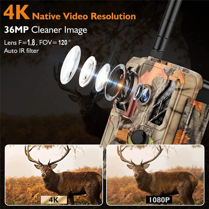 Caméra de surveillance de la faune Caméra de vision nocturne extérieure 4K WIFI Infrarouge Caméra de pistage des animaux de chasse - Couleur des feuilles