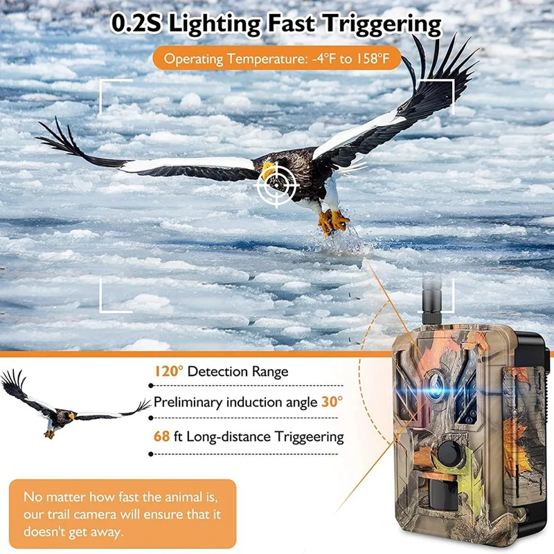 Caméra de surveillance de la faune Caméra de vision nocturne extérieure 4K WIFI Infrarouge Caméra de pistage des animaux de chasse - Couleur des feuilles