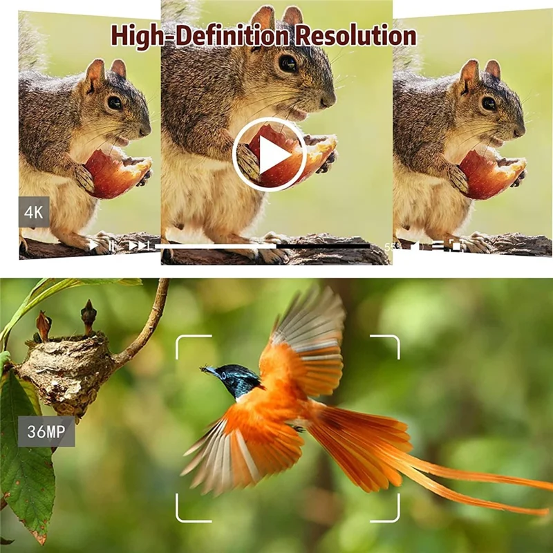 Caméra de surveillance de la faune Caméra de vision nocturne extérieure 4K WIFI Infrarouge Caméra de pistage des animaux de chasse - Couleur des feuilles