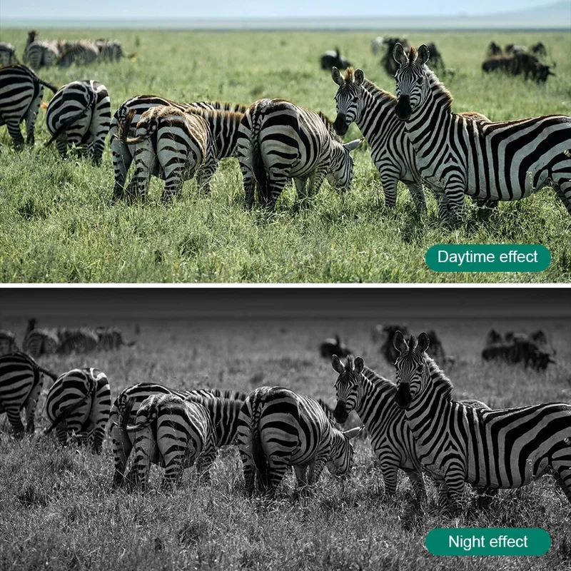 DL001 Jachtcamera IP66 Waterdichte Infrarood Nachtkijker voor Observatie in Boomgaarden en op Boerderijen