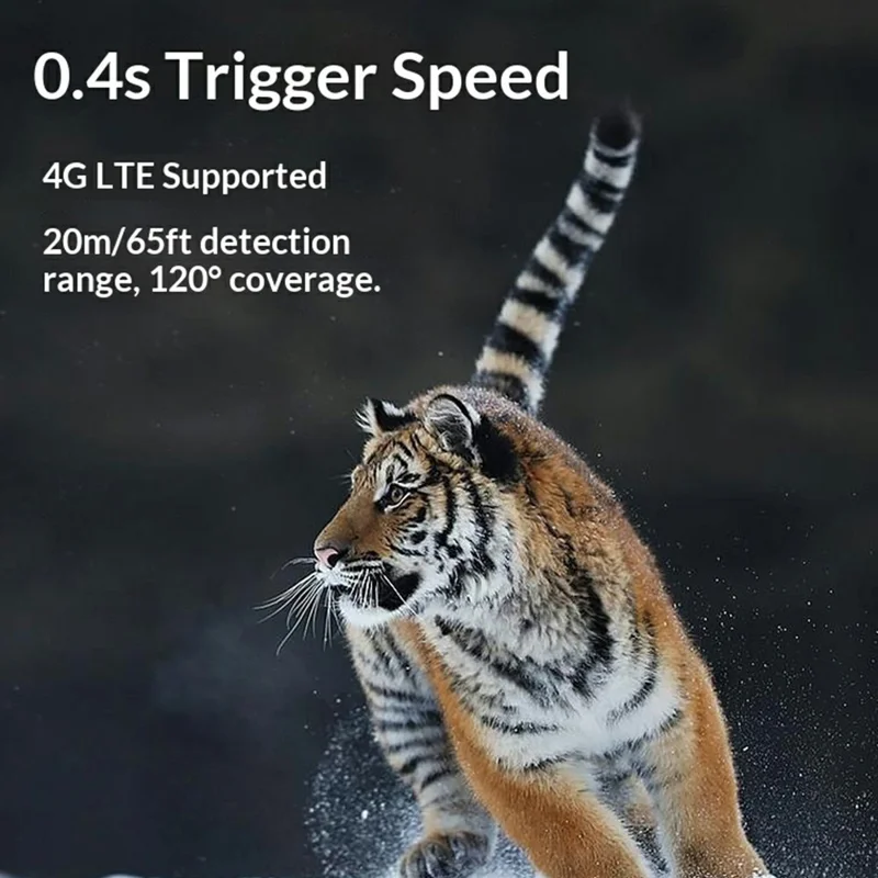 DL003 Охотничья камера HD, инфракрасная камера для записи дикой природы, водонепроницаемая камера ночного виденья с датчиком движения PIR