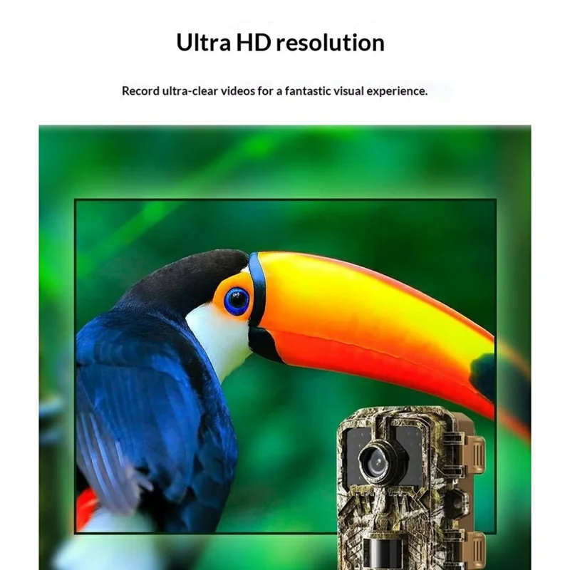 DL003 Охотничья камера HD, инфракрасная камера для записи дикой природы, водонепроницаемая камера ночного виденья с датчиком движения PIR